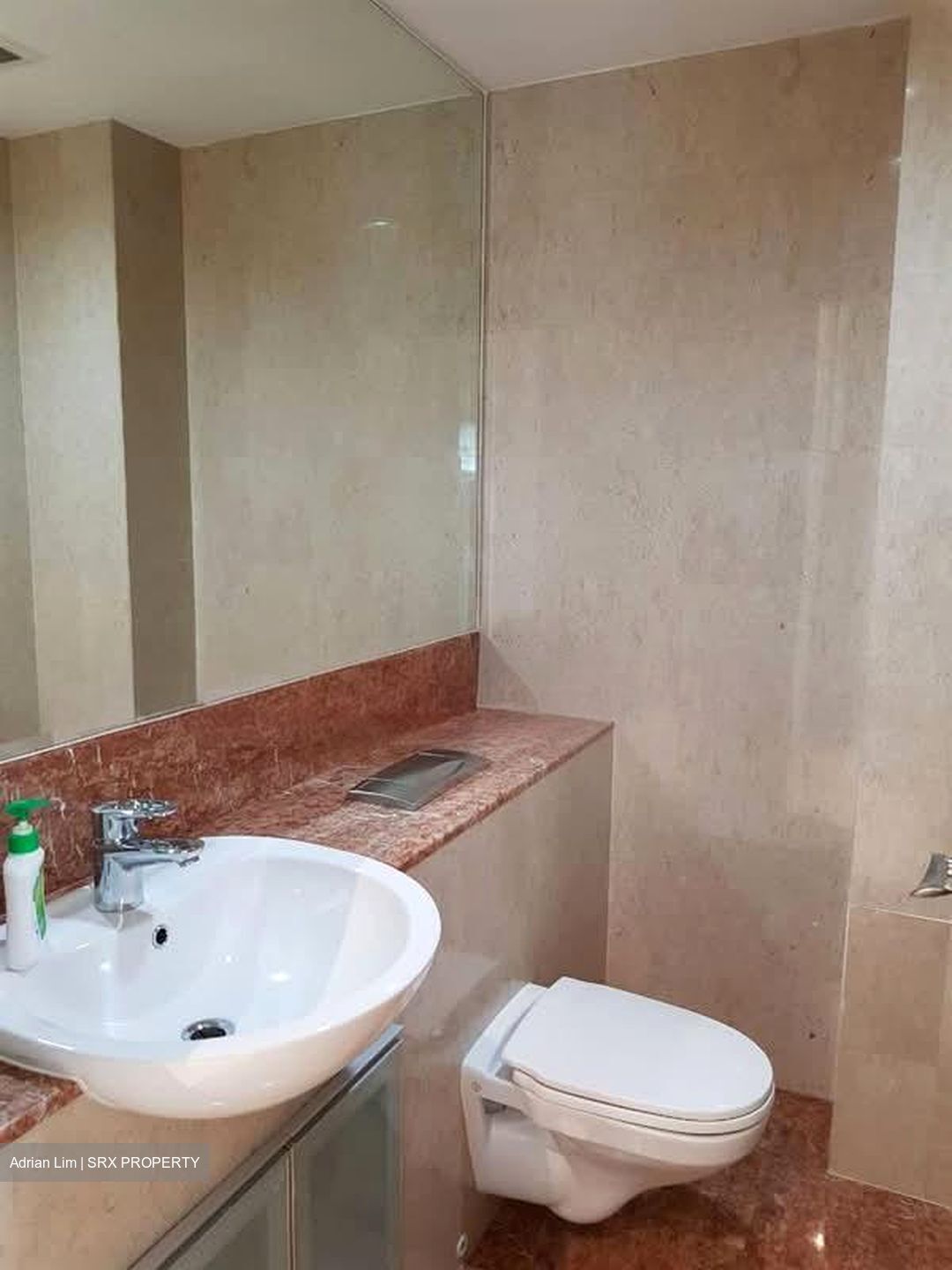 Golden Rise Estate (D21), Semi-Detached #578603481